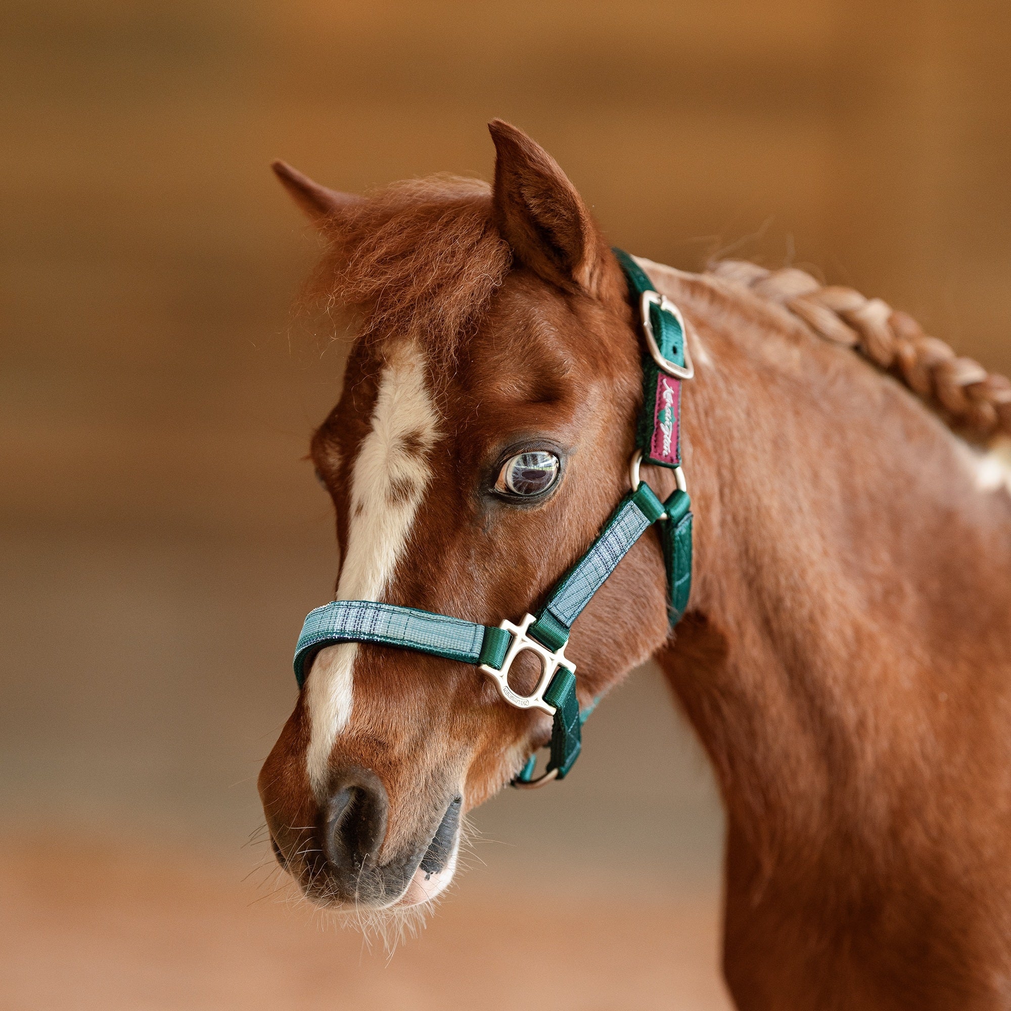 Kensington Mini Reflective Nylon Halter