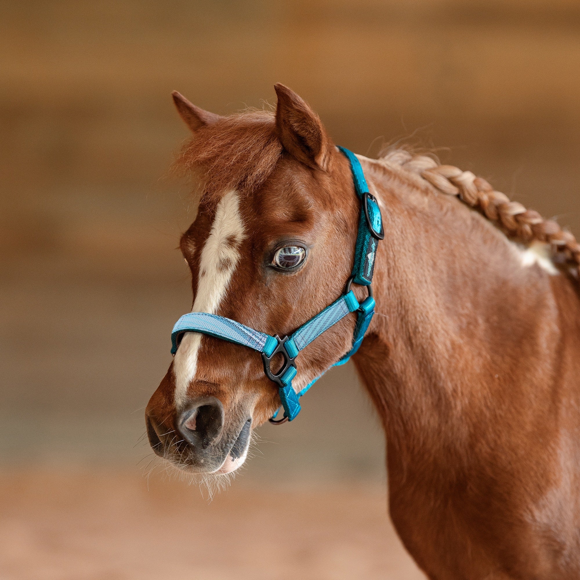 Kensington Mini Reflective Nylon Halter