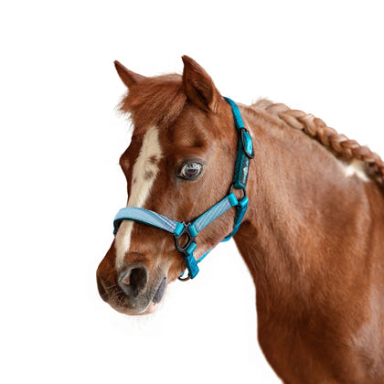Kensington Mini Reflective Nylon Halter