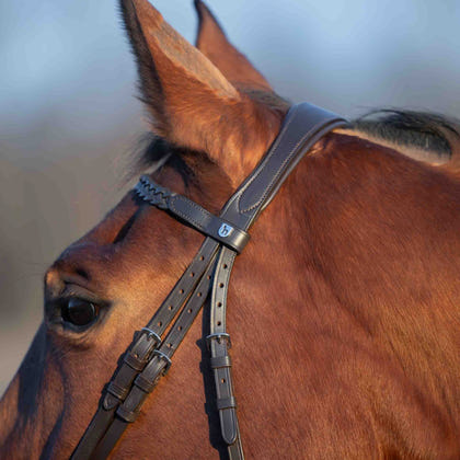 Horze Beaufort Flash Bridle