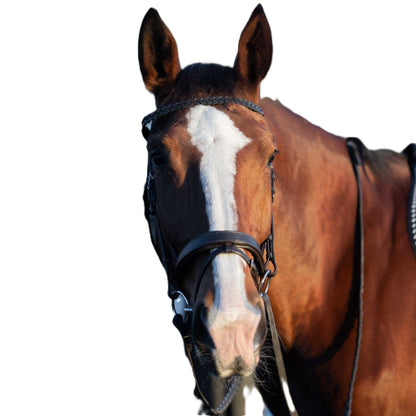 Horze Beaufort Flash Bridle