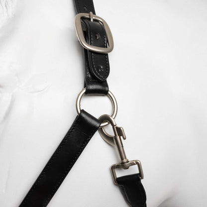 Horze Dynasty Crystal Leather Halter and Lead Set