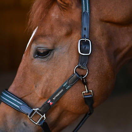 B Vertigo Lennox Leather Halter