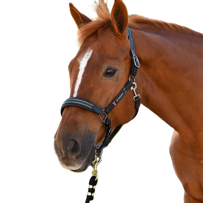 B Vertigo Lennox Leather Halter
