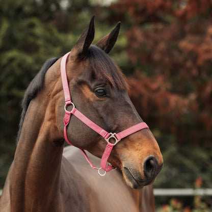 Horze Rose Tonique Halter
