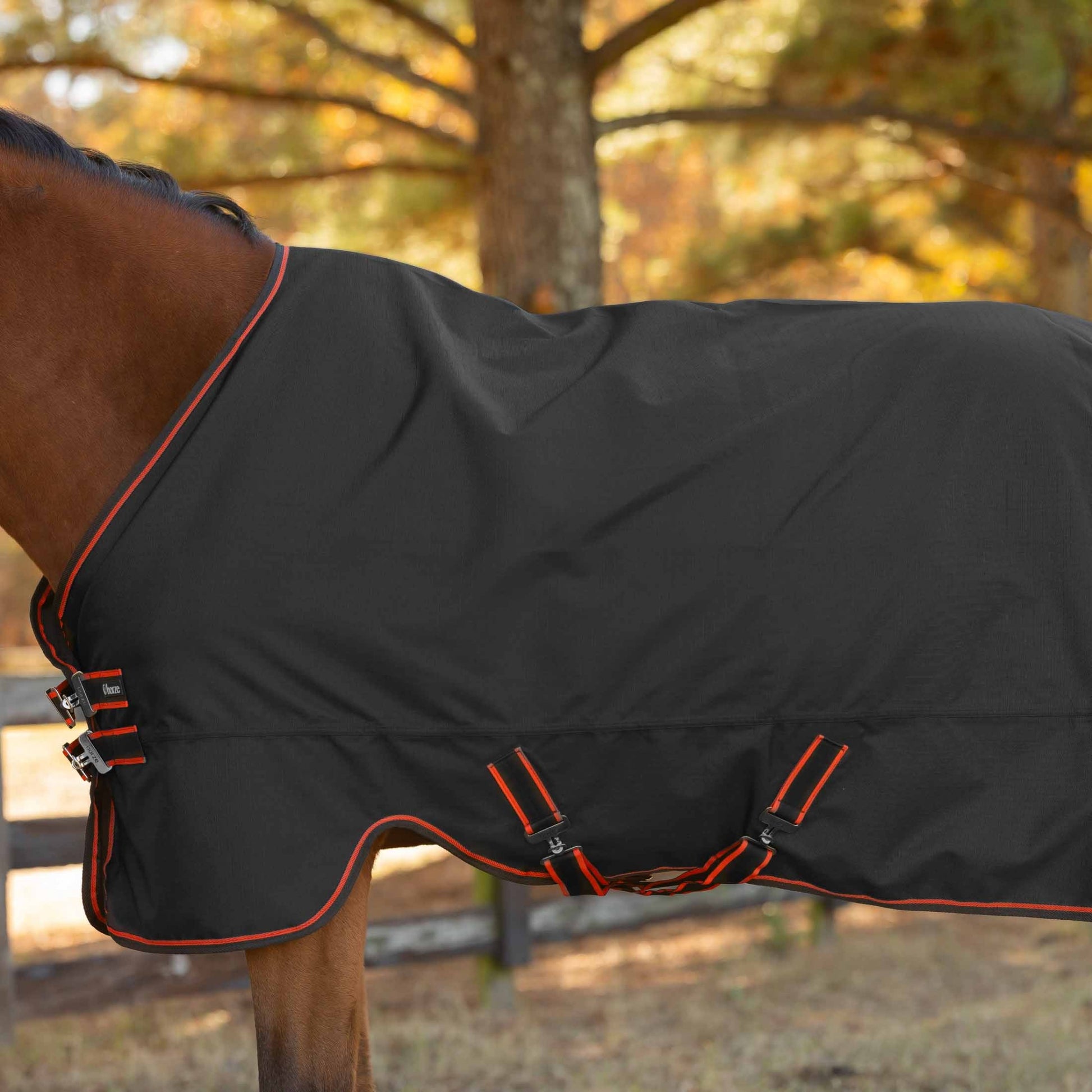 Horze Cairo Infrared Therapy Turnout Sheet