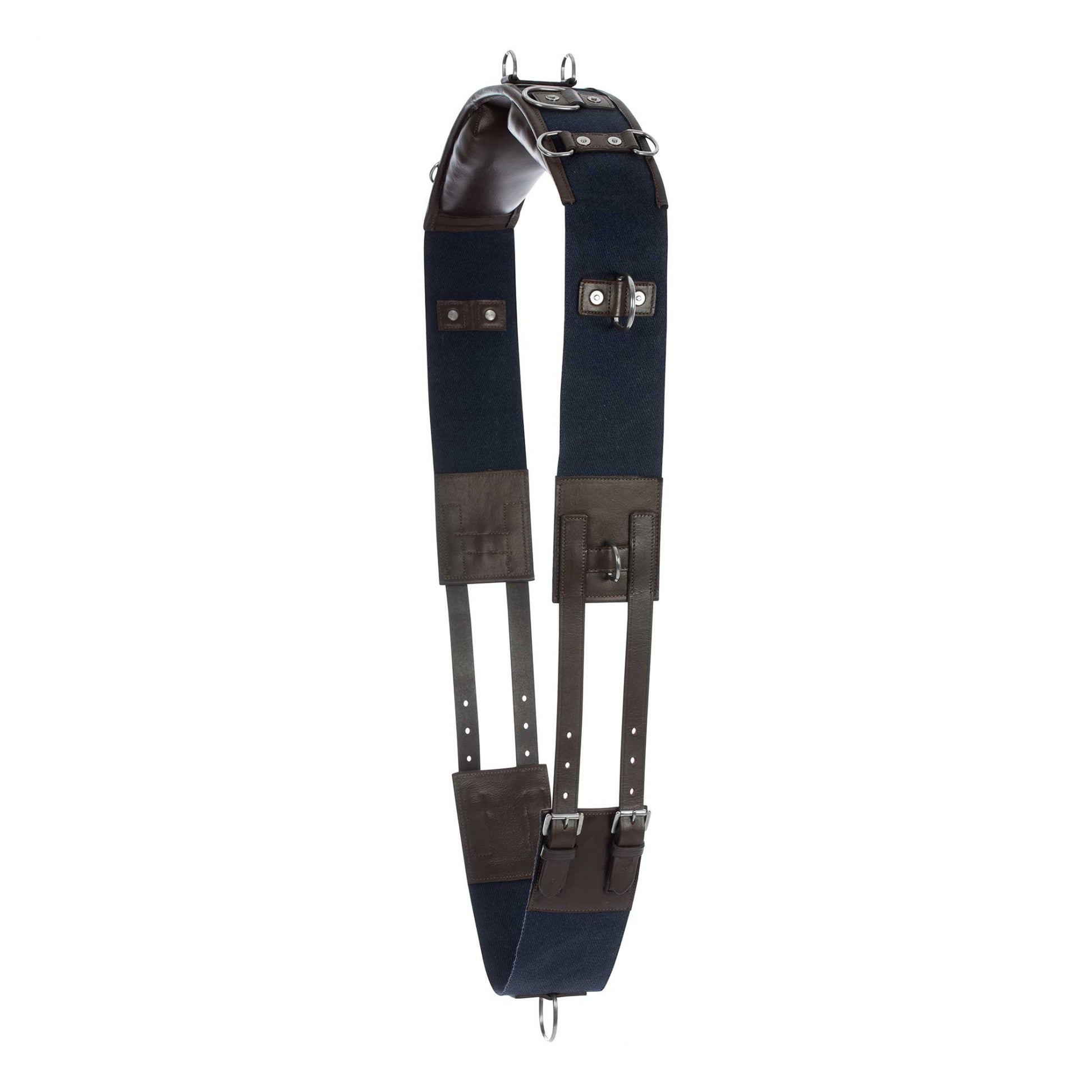 Equinavia Saga Lunge Surcingle