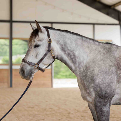 Equinavia Saga 35 Feet Lunge Line with Chain