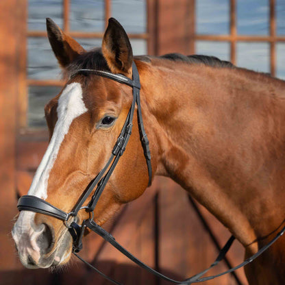 Equinavia Saga Drop Noseband Bridle with Web Rubber Reins