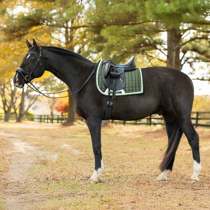 Equinavia Copenhagen Stay Put Dressage Saddle Pad