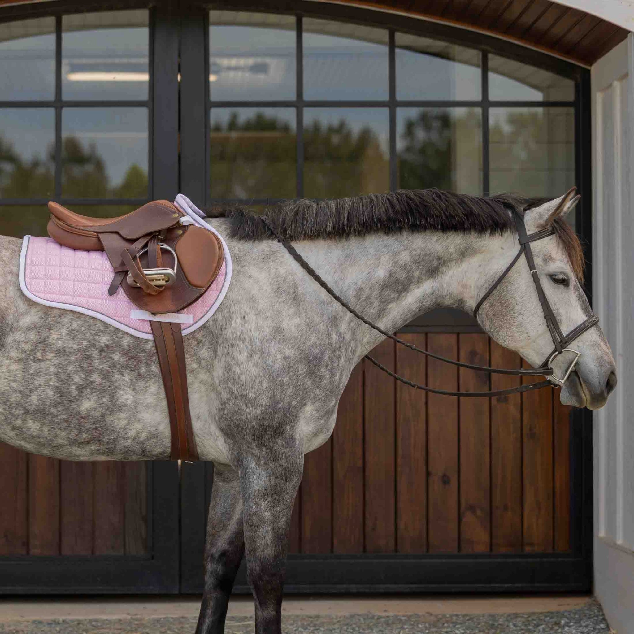 Equinavia Svalbard Pony Saddle Pad with NordicAir Tech