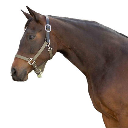 Equinavia Loki Breakaway Halter