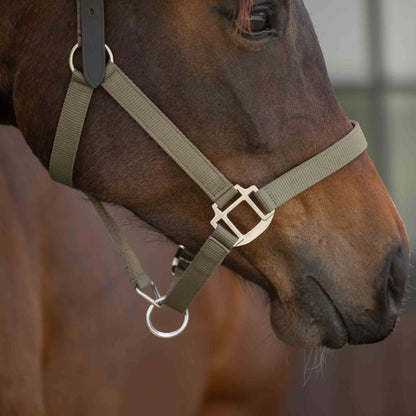 Equinavia Loki Breakaway Halter
