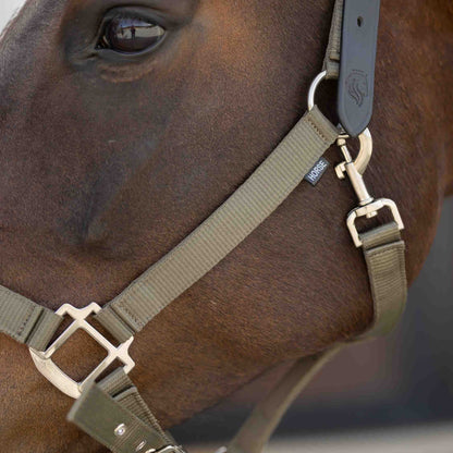 Equinavia Loki Breakaway Halter