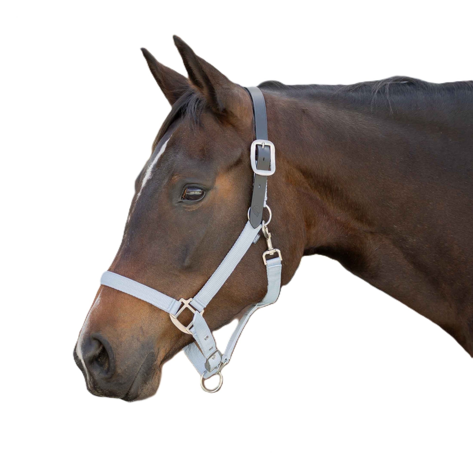 Equinavia Loki Breakaway Halter