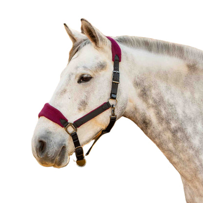 Equinavia Saga Fleece Padded Breakaway Halter