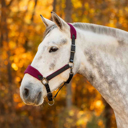 Equinavia Saga Fleece Padded Breakaway Halter