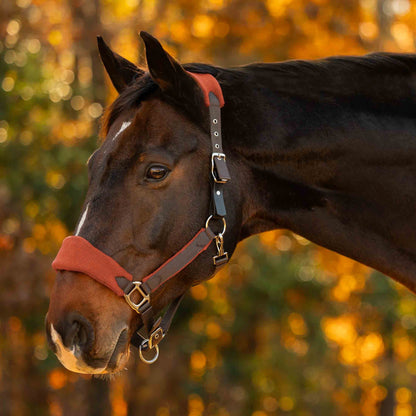 Equinavia Saga Fleece Padded Breakaway Halter