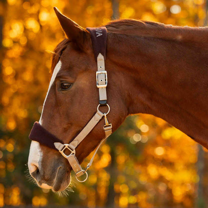 Equinavia Saga Fleece Padded Breakaway Halter