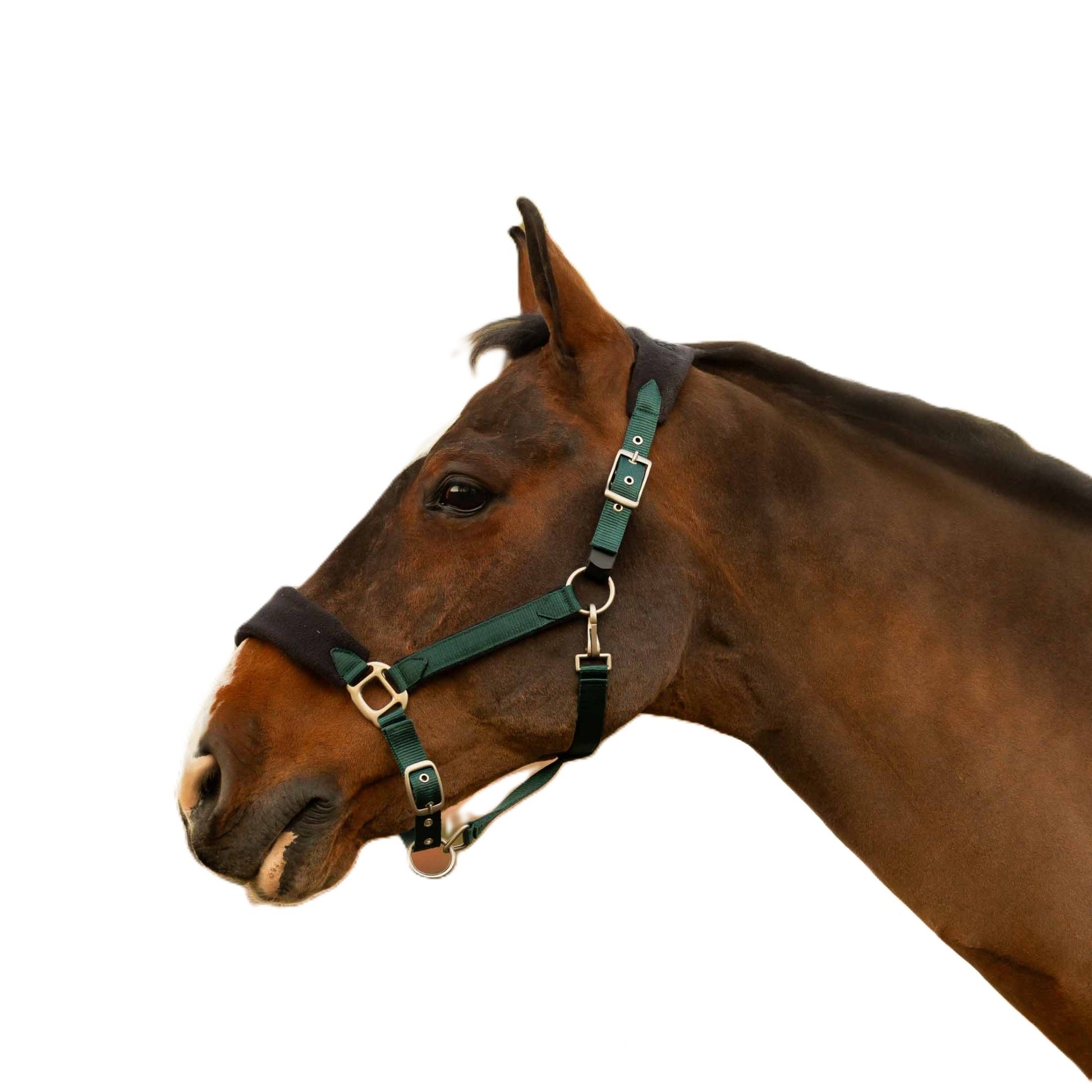 Equinavia Saga Fleece Padded Breakaway Halter