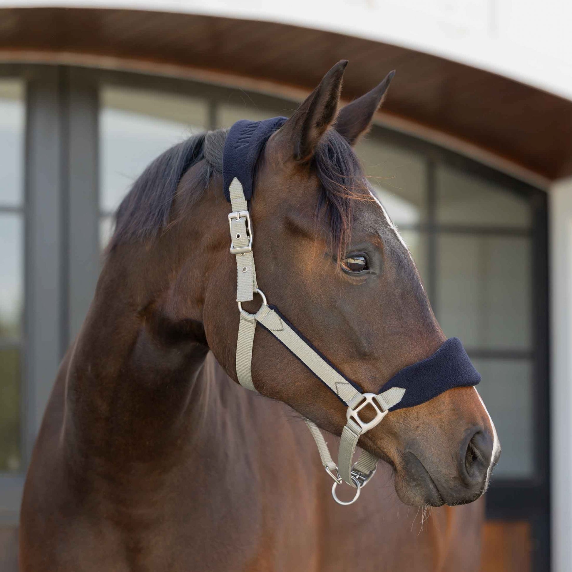 Equinavia Saga Fleece Padded Breakaway Halter