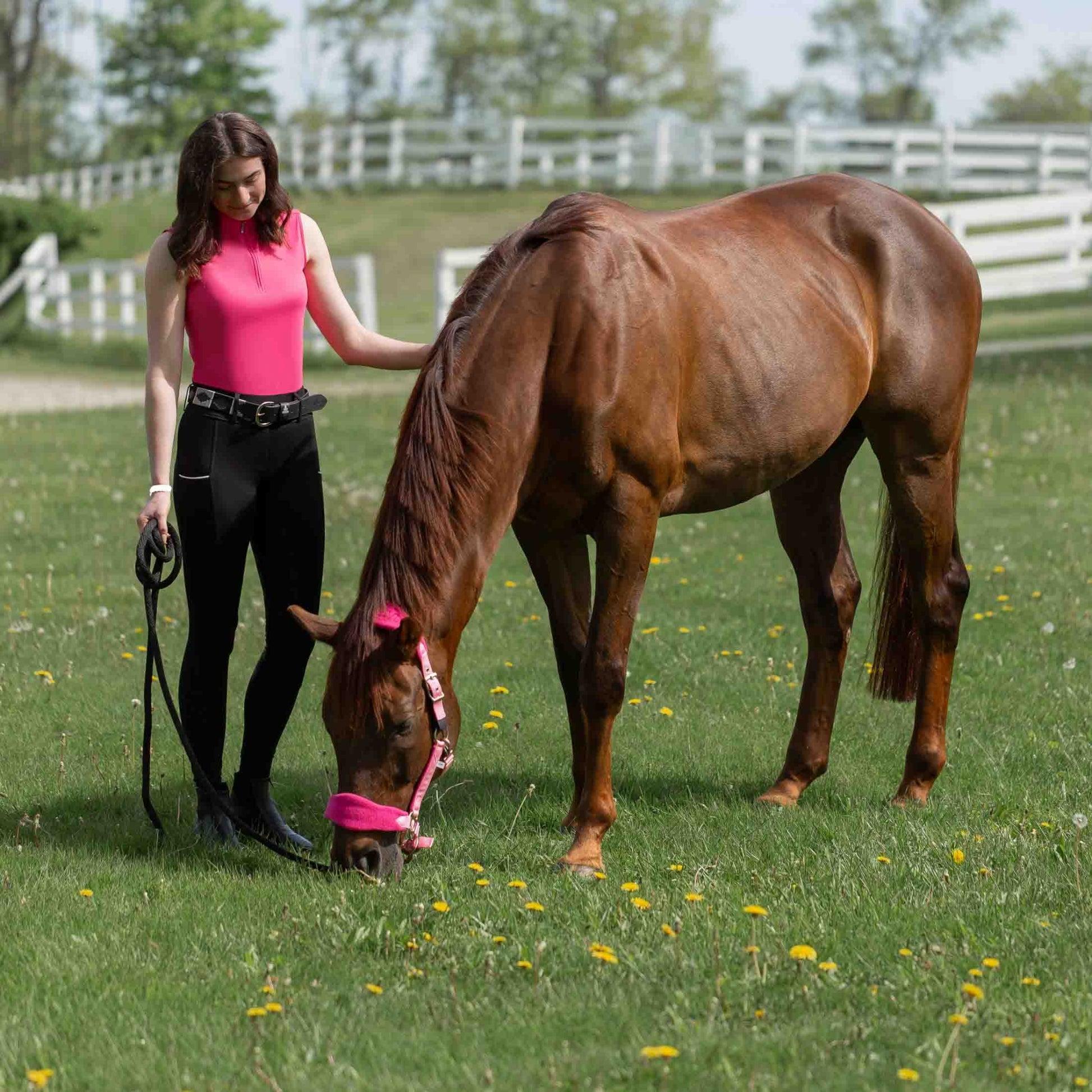 Equinavia Saga Fleece Padded Breakaway Halter