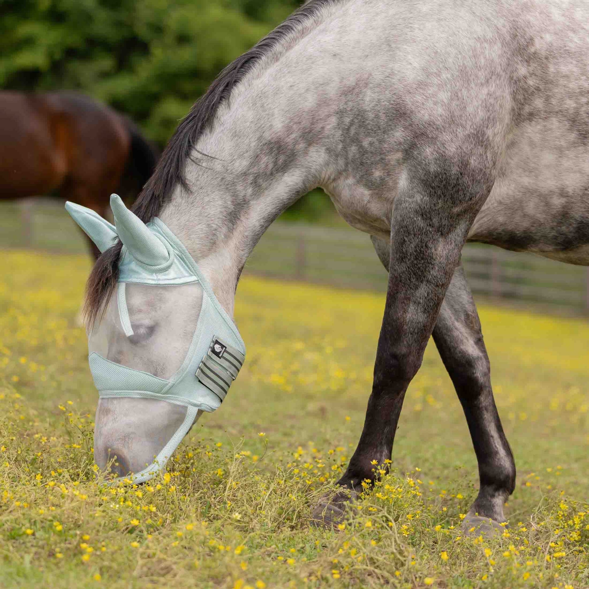 Equinavia Algard Soft Mesh Long Nose Fly Mask