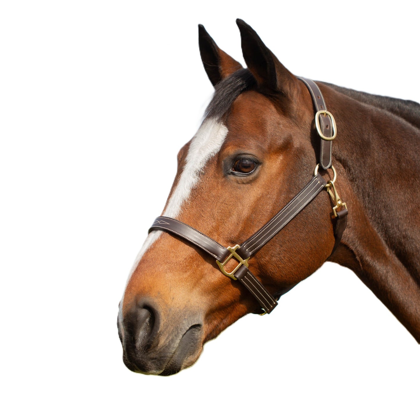 4-530192-01.jpg