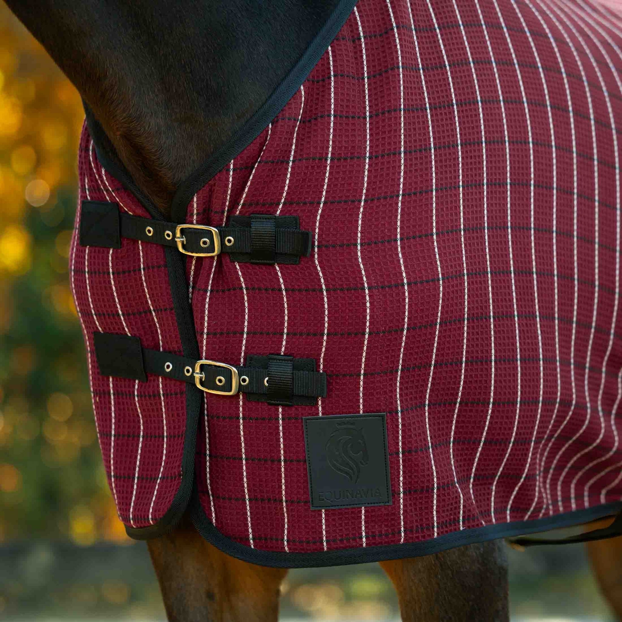 Equinavia Luftig Waffle Cooler
