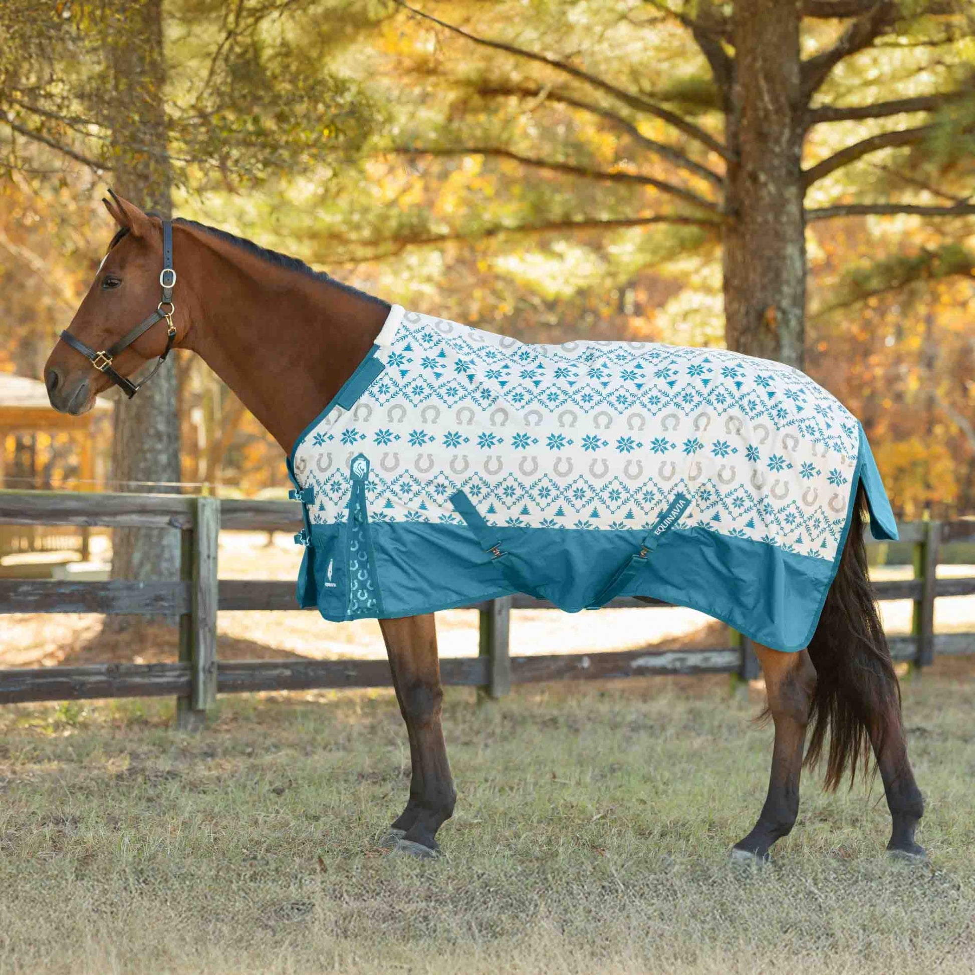 Equinavia Norse Turnout Sheet