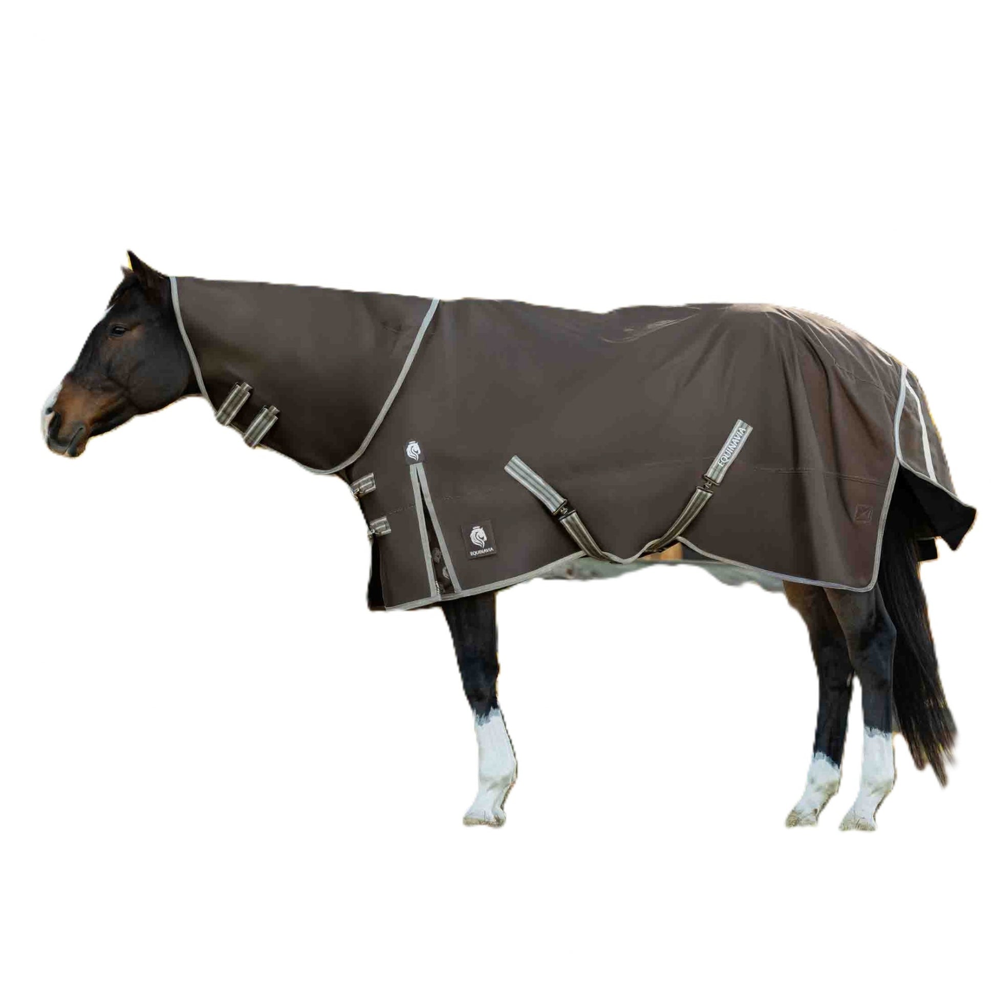 Equinavia Thunder 360 Detachable Neck Heavy Weight Turnout Blanket 300g