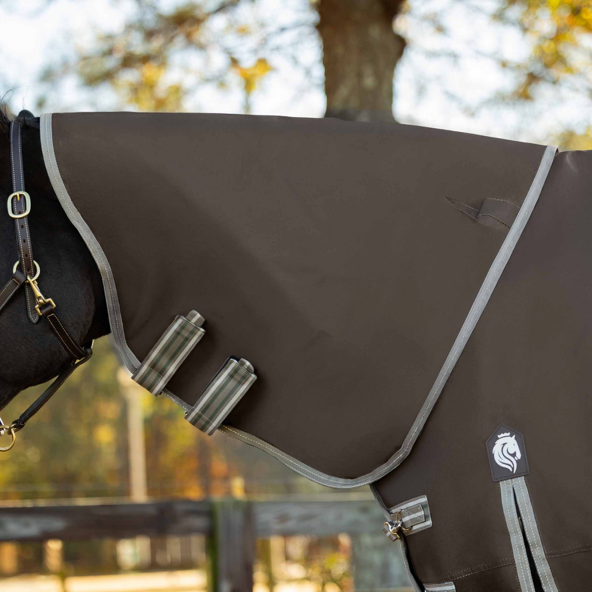 Equinavia Thunder 360 Detachable Neck Heavy Weight Turnout Blanket 300g