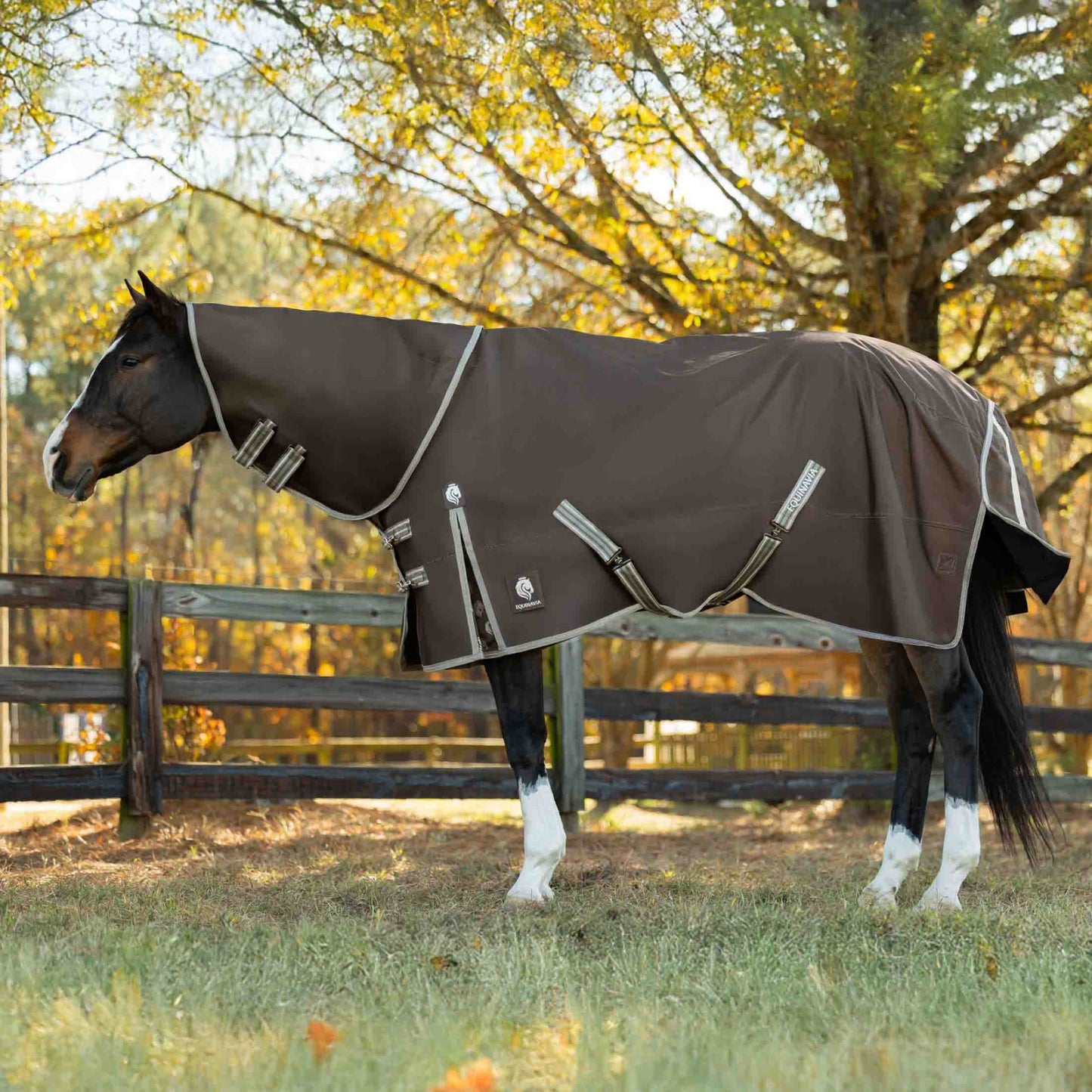 4-530497.jpg