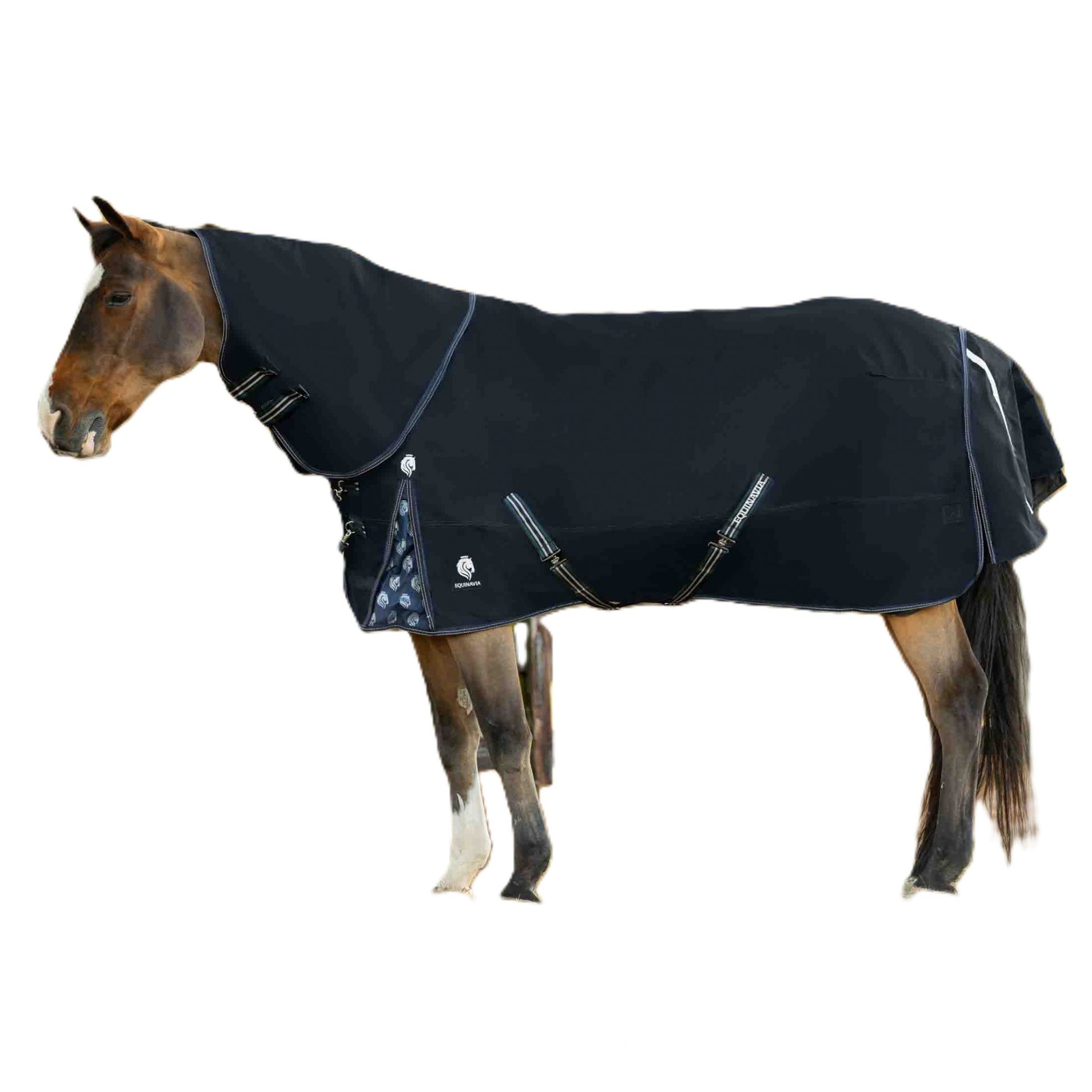 Equinavia Thunder 360 Detachable Neck Light Weight Turnout Blanket 100g