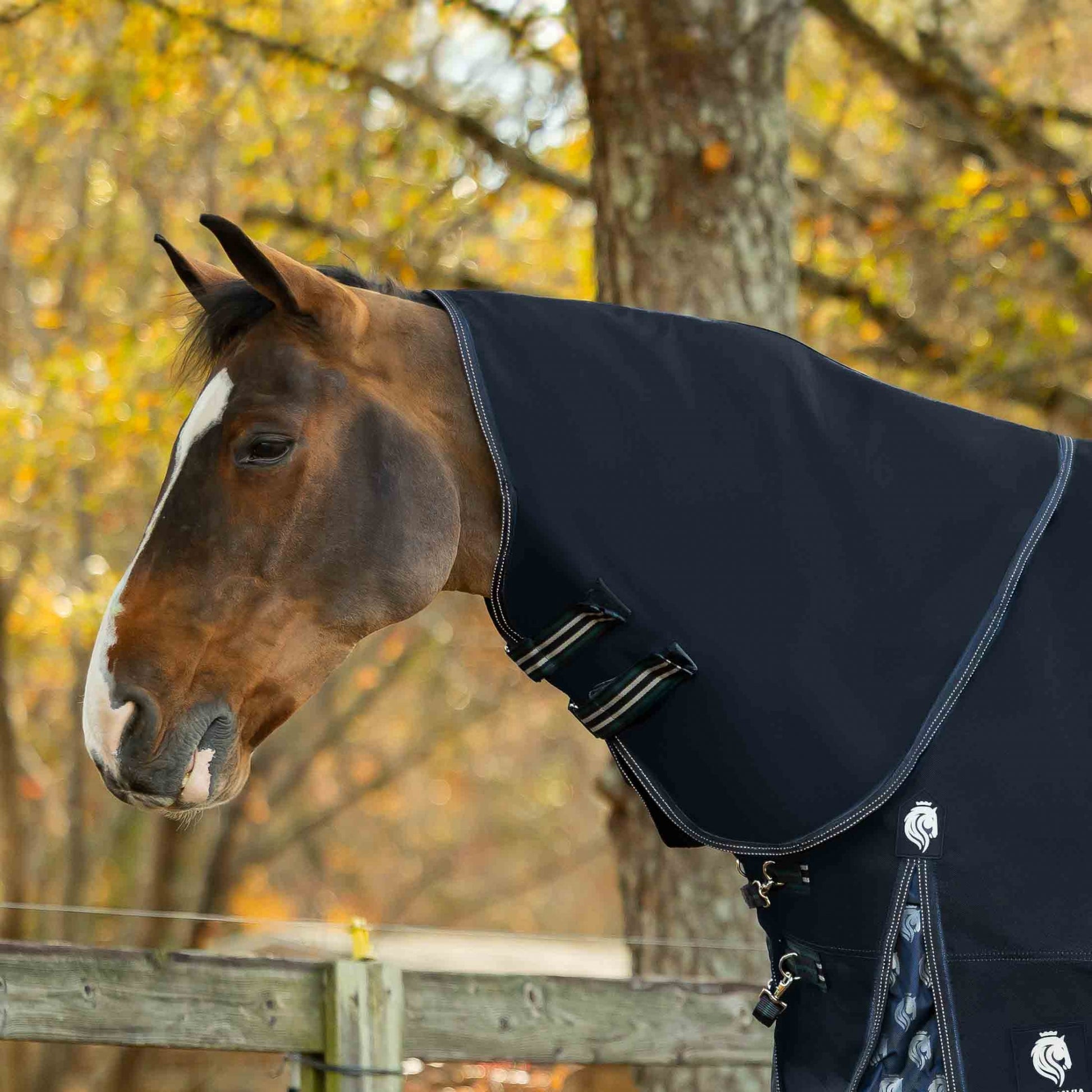 Equinavia Thunder 360 Detachable Neck Light Weight Turnout Blanket 100g