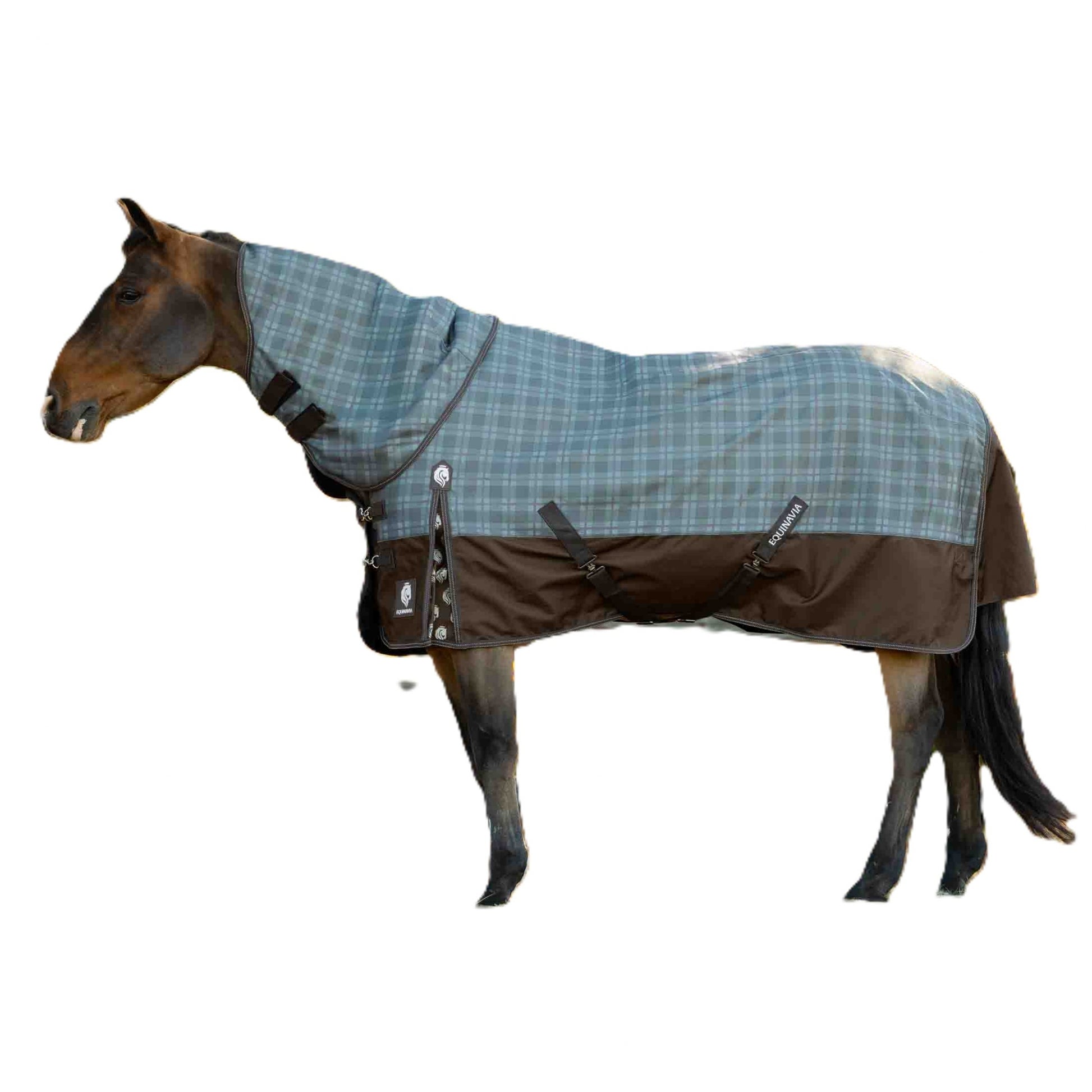 Equinavia Arktis Regular Neck Turnout Sheet
