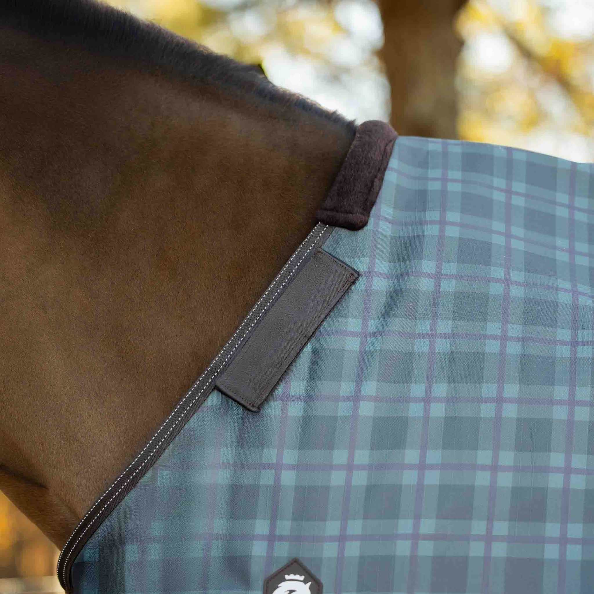 Equinavia Arktis Regular Neck Turnout Sheet