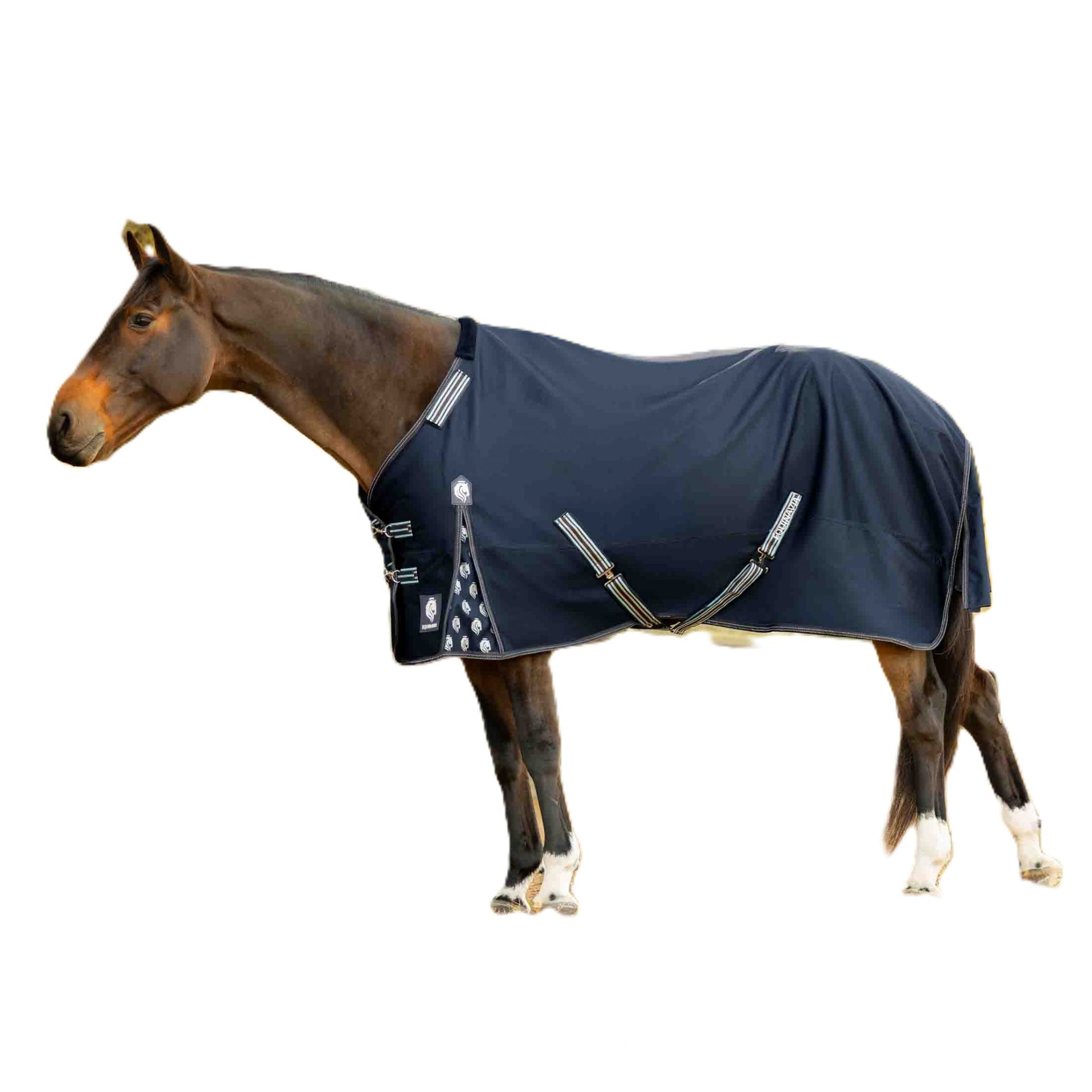 Equinavia Arktis Regular Neck Turnout Sheet