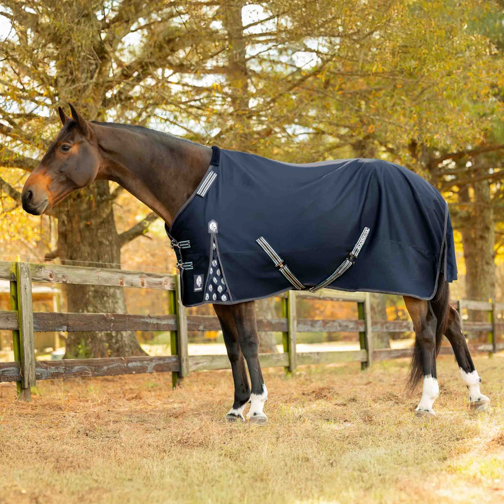 Equinavia Arktis Regular Neck Turnout Sheet