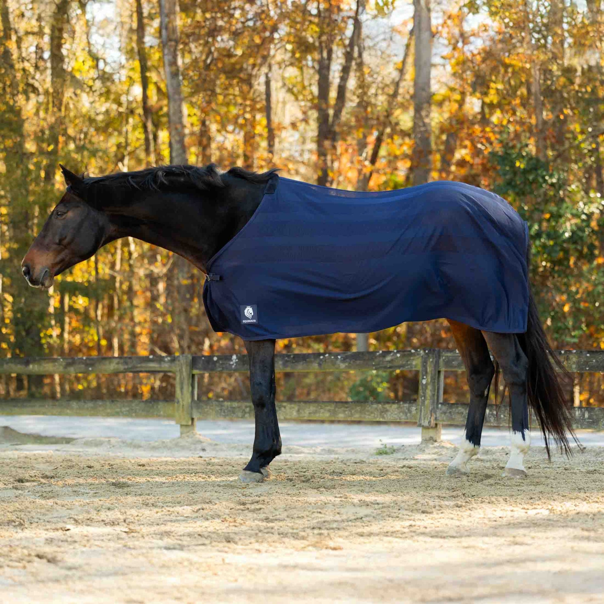 Equinavia Sefyr Scrim Sheet