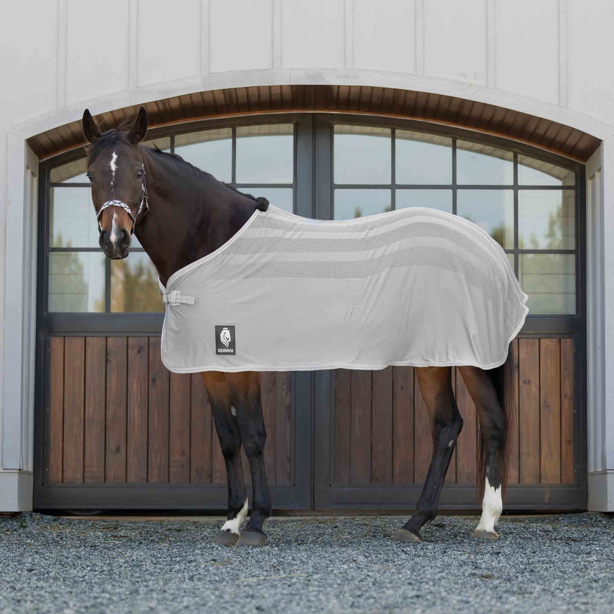 Equinavia Sefyr Scrim Sheet