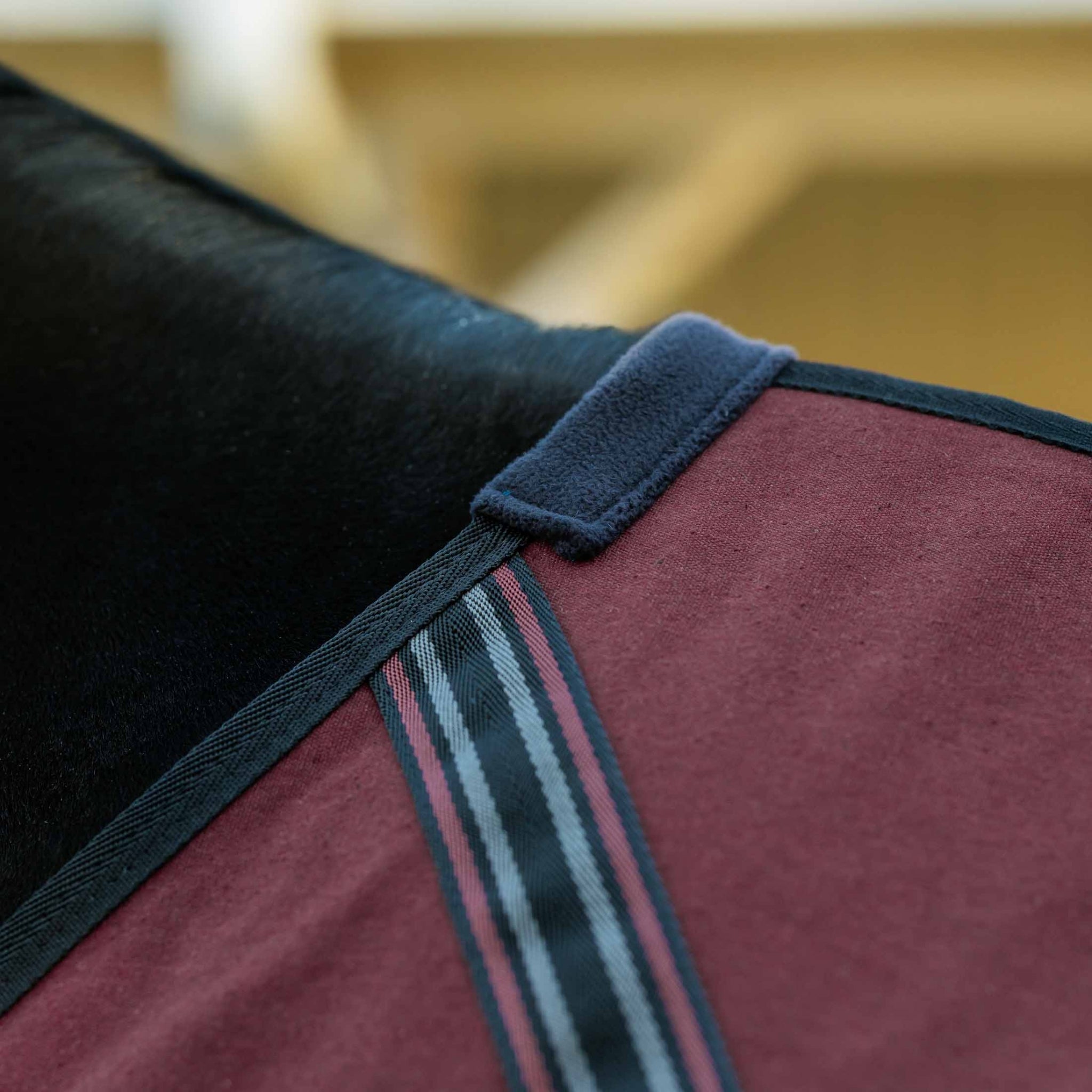 Equinavia Fryd Cotton Stable Sheet