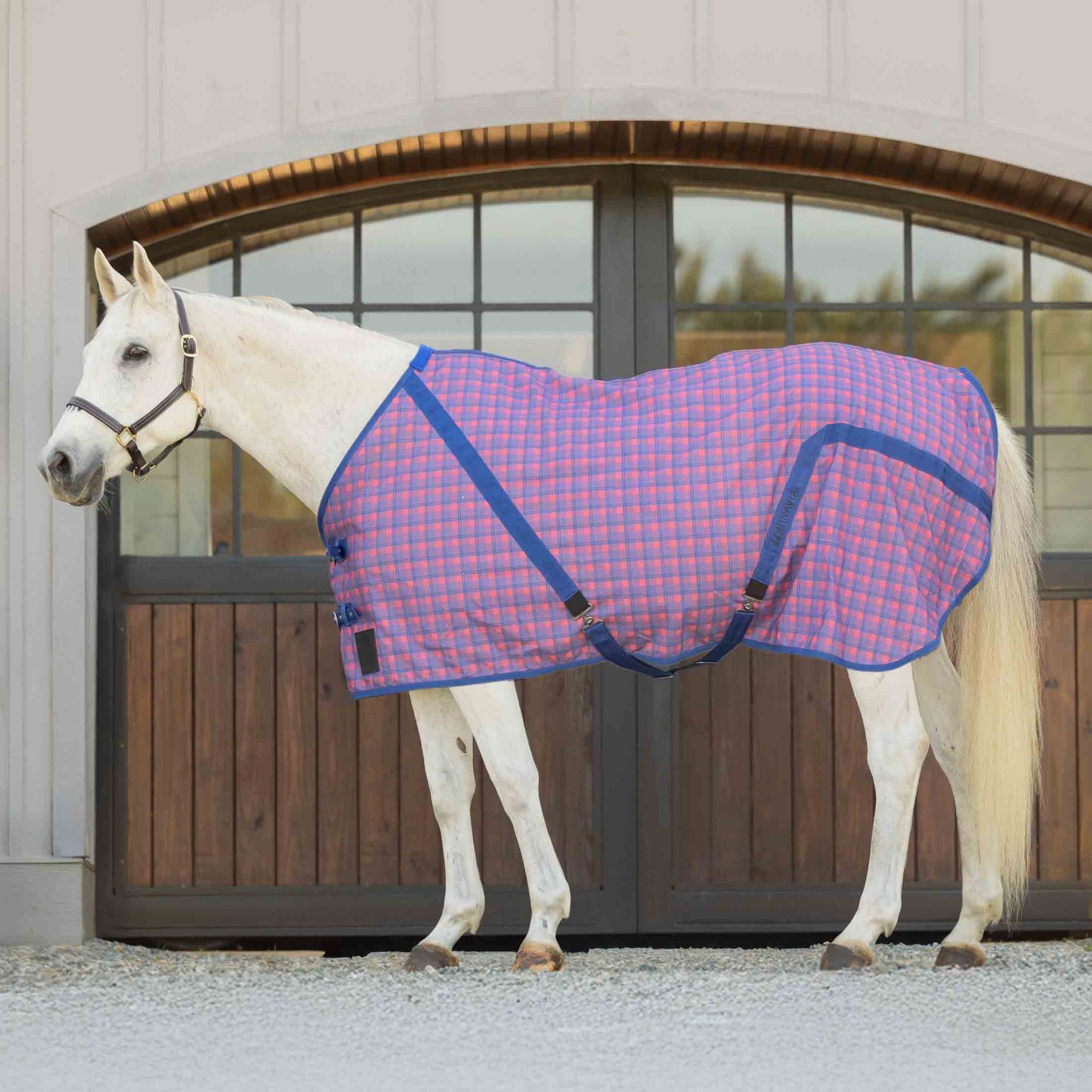 Equinavia Fryd Cotton Stable Sheet