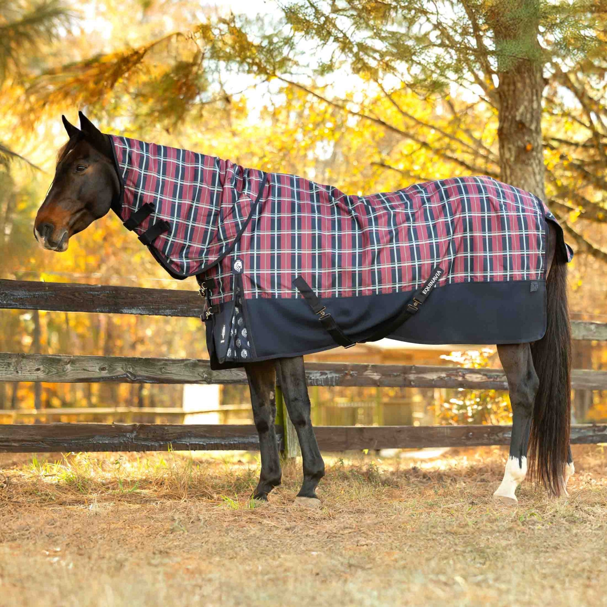 Equinavia Norse Fleece Lined Turnout Blanket