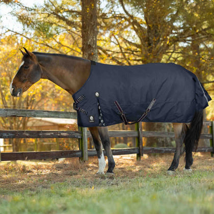 Equinavia Arktis TransitionFlex Turnout Blanket