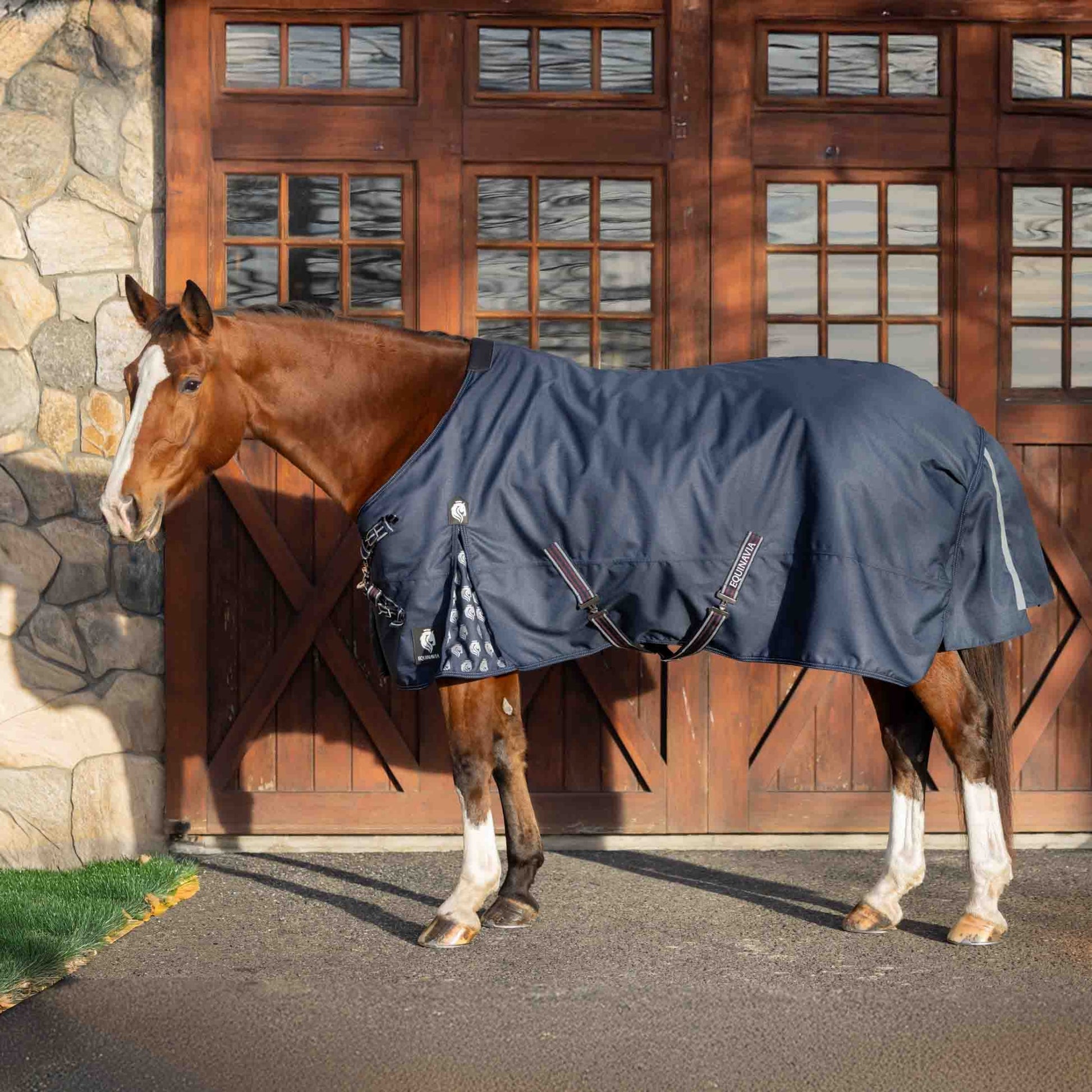Equinavia Arktis VariFlex Turnout Blanket