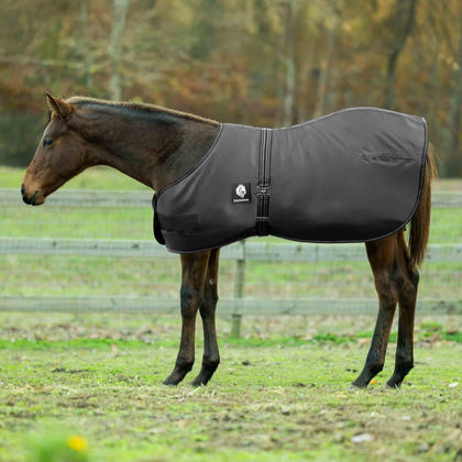 Equinavia Norse Foal Turnout Sheet
