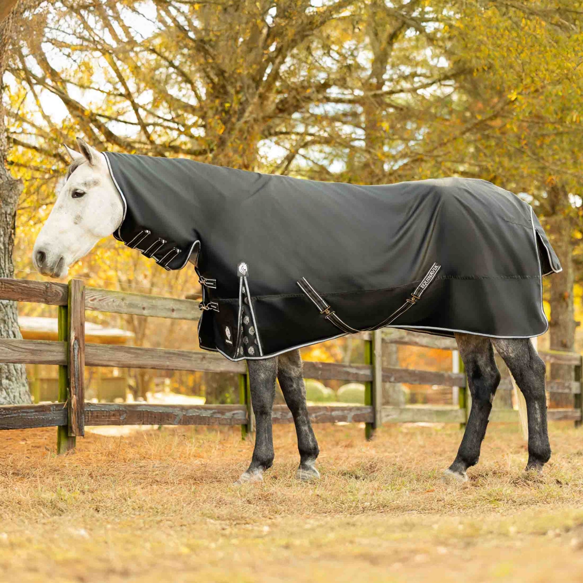 Equinavia Norse Full Neck Turnout Blanket 100g