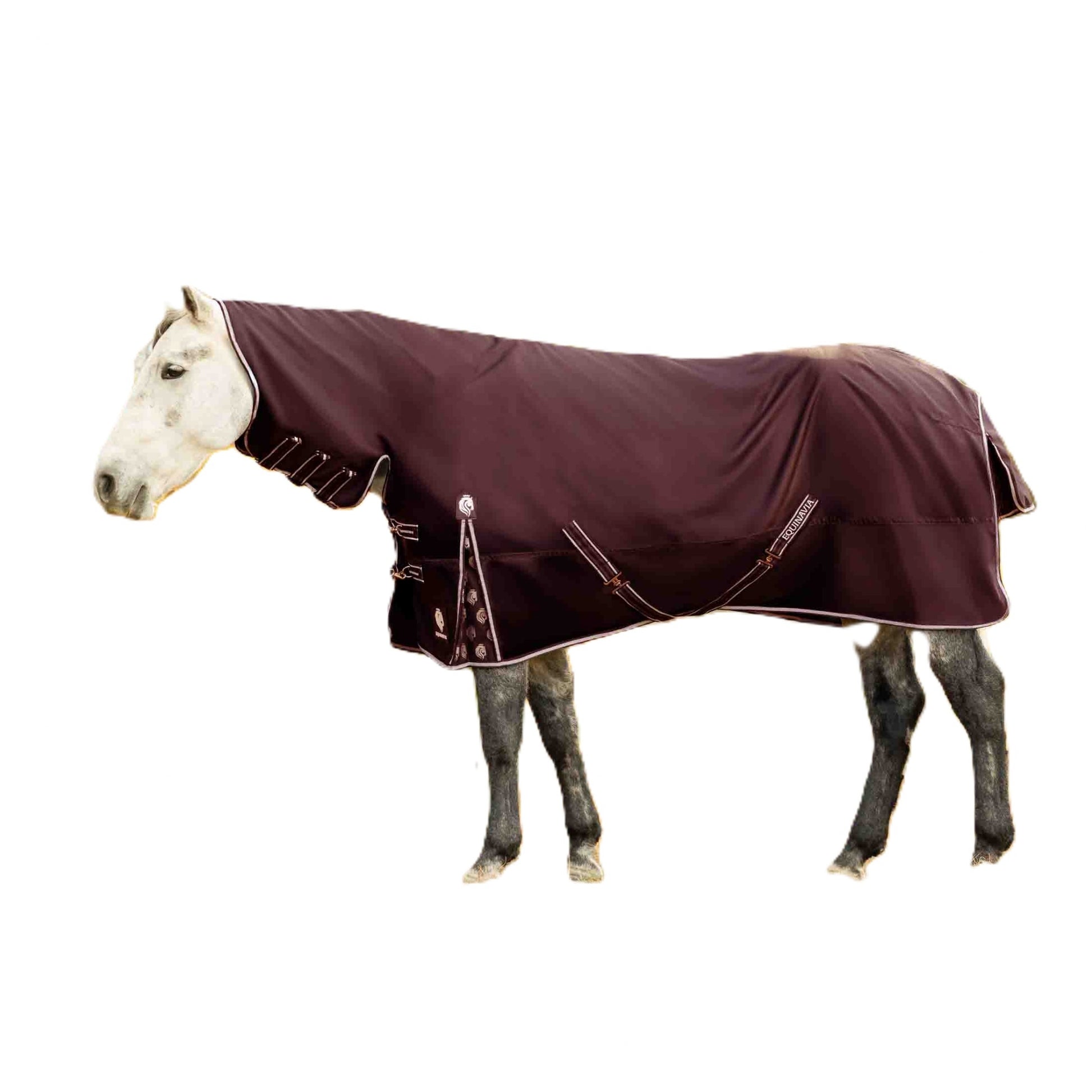 Equinavia Norse Full Neck Turnout Sheet
