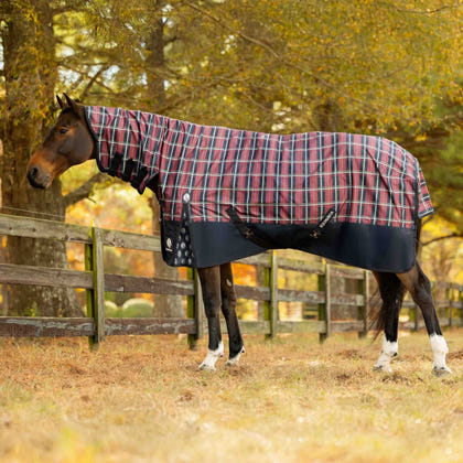 Equinavia Norse Full Neck Turnout Blanket 100g